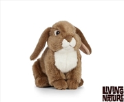 Buy Brown French Lop Rabbit 22cm