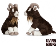 Buy Brown Goat Sitting 20cm