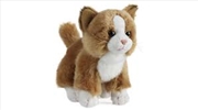 Buy Cat Small 16cm