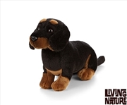 Buy Dachshund 20cm