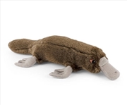 Buy Duck Billed Platypus