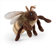 Buy European Honey Bee