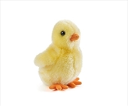 Buy Fluffy Chicks 12cm