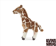 Buy Giraffe Medium 32cm