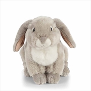 Buy Grey French Lop Rabbit 22cm
