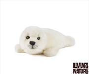 Buy Grey Seal Pup 20cm