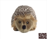 Buy Hedgehog Medium 18cm