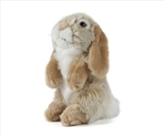 Buy Lop Eared Rabbit Brown 19cm