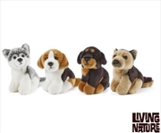 Buy Miniature Dogs Assorted 14cm