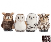 Buy Owls 4 Assorted 13cm