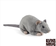 Buy Rat With Squeak 30cm