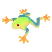 Buy Red Eyed Tree Frog 16cm