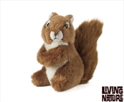 Buy Squirrel Medium 14cm