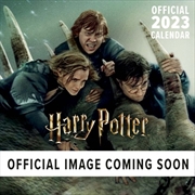 Harry Potter Adults Square Calendar 2023 | Merchandise