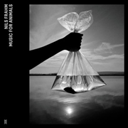 Buy Music For Animals