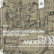 Mellifluous Excursions Vol 1 - Where You Been | CD