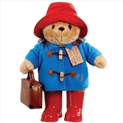Buy Paddington Large