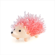 Buy Dream Pink Magic Hedgehog