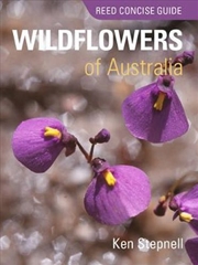 Buy Reed Concise Guide Wildflowers of Australia