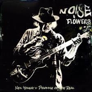 Noise And Flowers | CD