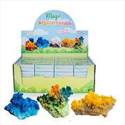 Buy Magic Crystal Garden
