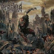 Buy Gravitas Maximus