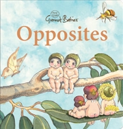 Buy May Gibbs Gumnut Babies Opposites
