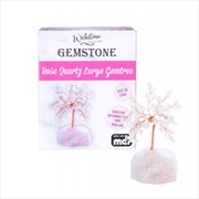 Buy Large Rose Quartz Gemstone Gemtree