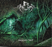 Buy Urminnes Havd: Forest Sessions