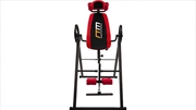 Buy Inversion Table Gravity Stretcher Inverter Foldable Home Fitness Gym