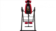Buy Inversion Table Gravity Stretcher Inverter Foldable Home Fitness Gym