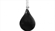 Buy 30L Water Punching Bag Aqua with D-Shackle and Chain