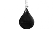 Buy 30L Water Punching Bag Aqua with D-Shackle and Chain