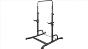 Buy Bench Press Gym Rack and Chin Up Bar