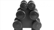 Buy 12kg Dumbbell Weights Set
