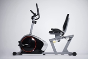 Buy Sardine Sport K16 Recumbent Exercise Bike, Adjustable Magnetic Resistance