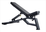 Buy Sardine Sport Heavy Duty Bench Foldable Adjustable Commercial Grade Capacity 450kg(Black)