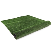 Buy 10mm 1mx20m 20sqm Synthetic Fake Turf Lawn
