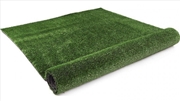 Buy 17mm 2mx10m 20sqm Synthetic Fake Turf