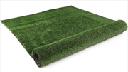 Buy 1x10m Artificial Grass Synthetic Fake Turf