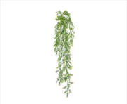 Buy Dense Hanging Evergreen Plant UV Resistant 80cm