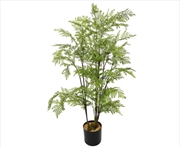 Buy Natural Fern Tree 90cm