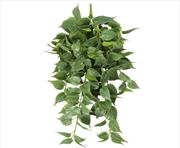 Buy Nearly Natural Philodendron Hanging Bush 75cm