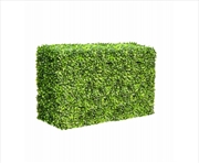 Buy Portable Boxwood Hedge 1m Long 50cm High 30cm Deep