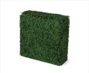 Buy Portable Boxwood Hedge UV Resistant 75CM x 75cm
