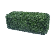 Buy Portable Boxwood Hedge UV Resistant 25cm High 100cm Long