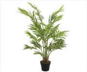 Buy Potted Areca Palm Tree 120cm