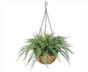 Buy Potted Fern Hanging Basket Fresh Green UV Resistant 55cm