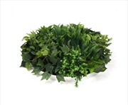 Buy Slimline Disc Art 60cm Mixed Green Fern & Ivy