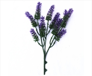 Buy Small Lavender Wall Plant 26cm
